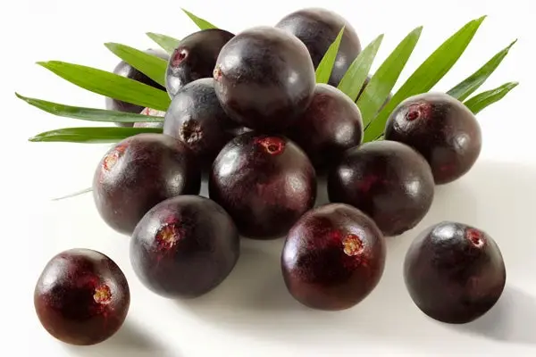 acai berri and weight loss