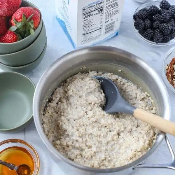 frozen high protein oatmeal pudding